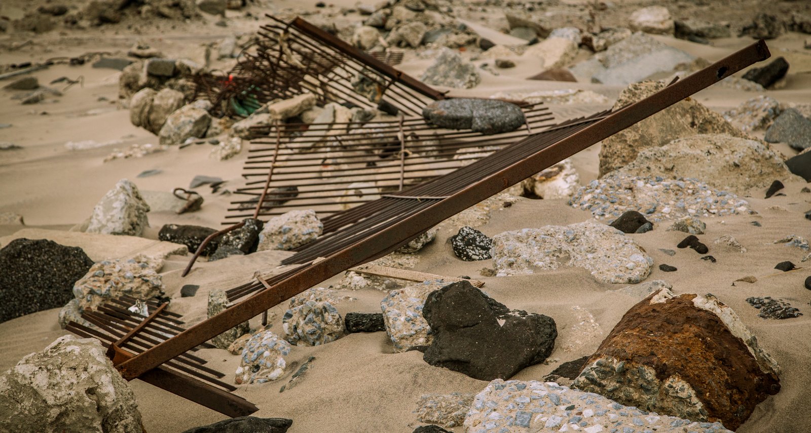 art-of-sandy-mo-seagate 2-48.jpg